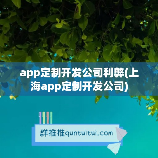 app定制开发公司利弊(上海app定制开发公司)