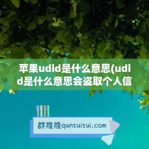 苹果udid是什么意思(udid是什么意思会盗取个人信息吗)