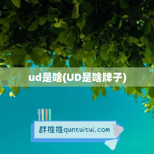 ud是啥(UD是啥牌子)