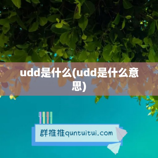 udd是什么(udd是什么意思)