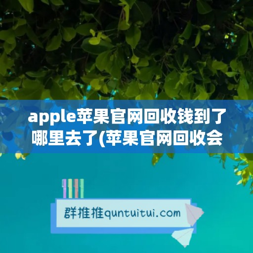 apple苹果官网回收钱到了哪里去了(苹果官网回收会到手刀吗)