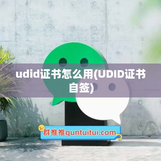 udid证书怎么用(UDID证书自签)